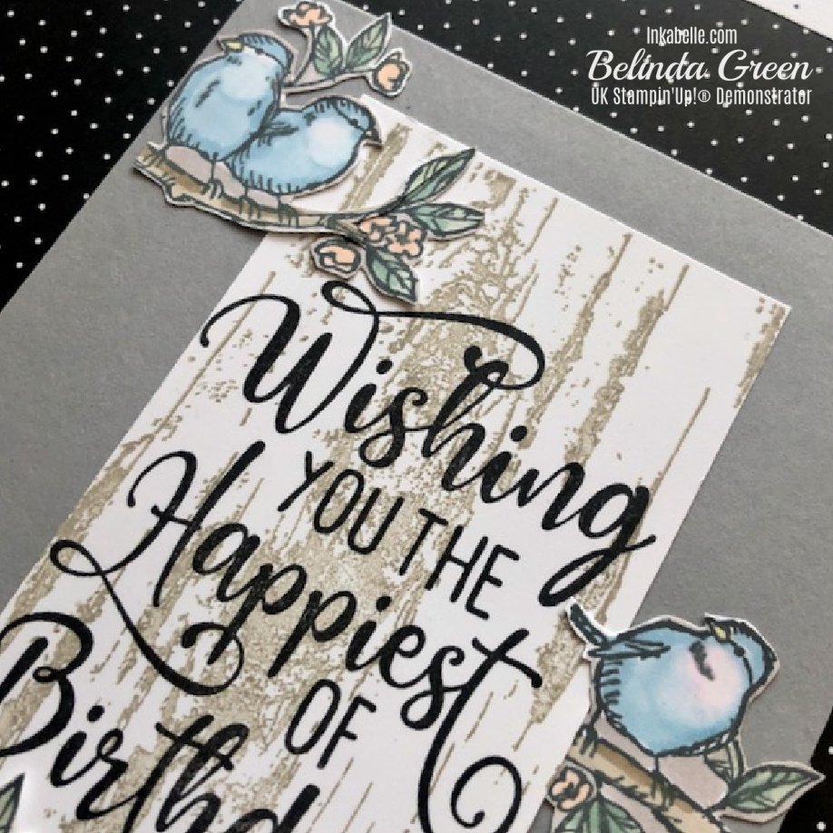 Close Up Birthday Card with Birds using Stampin' Up!