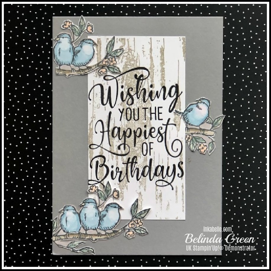 Birthday Card with Birds using Stampin' Up!