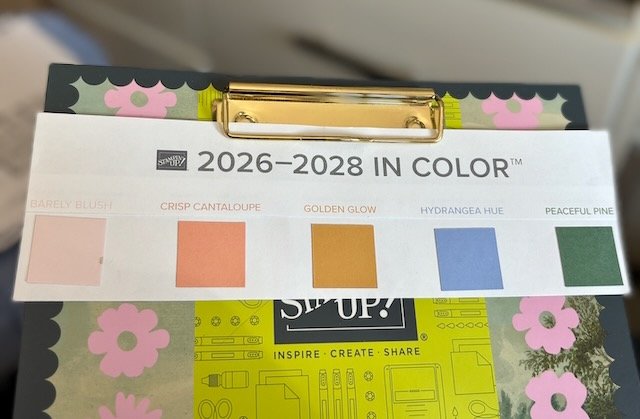 New In Colours 2026 - 2027 Blush, Cantaloupe, Golden, Hydrangea & Pine. 
